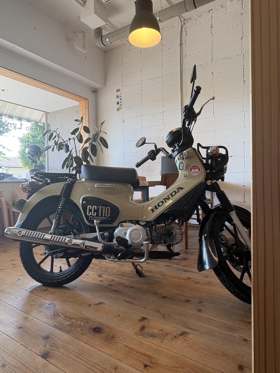 スタジオリンクスの日常｜バイクと木